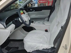 Geely Xingyuan d'occasion 2025 310km édition jeunesse-<span class=keywords><strong>lignée</strong></span> authentique Geely EV, fiable pour les déplacements quotidiens - Product Image 5
