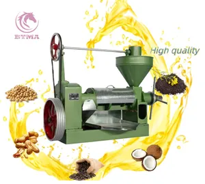 BTMA 6YL-80 macchina per olio da spremitura personalizzabile macchina per olio di semi d'uva pressata a caldo macchina per l'estrazione dell'olio di noce