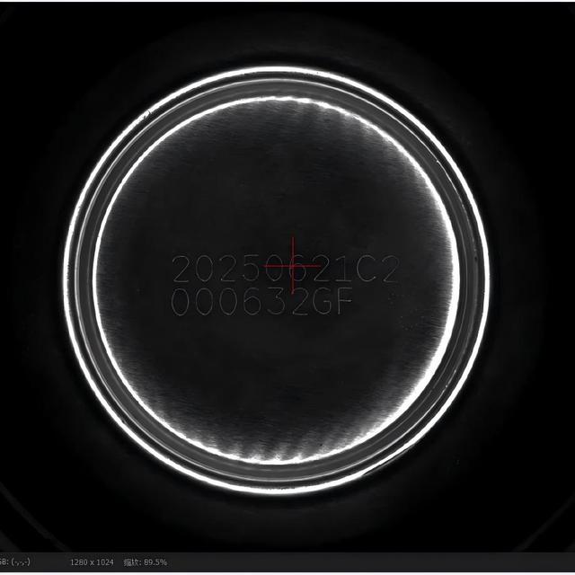 Datamatrix ECC200 QR Codereading OCR/OCV Codes Reading Presence/Matching/Positioning/ntegrity/Reading of Barcode Rejector/pusher