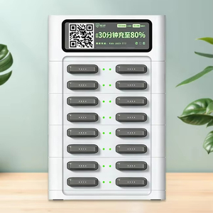Batterie à charge rapide pour smartphones, avec 16 emplacements, spécialement conçue pour l'Afrique, personnalisable, 2026 - Product Image 1