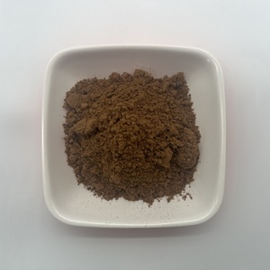 天然イチョウ葉エキスハーブエキス粉末24％フラボノイド配糖体6％ラクトンドラム真空包装ISO認証済み - Product Image 4