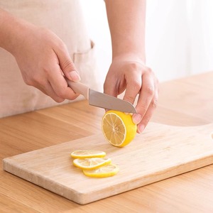 Rama Candy Color Fruit Knife With Sheath 19 In Stainless Steel Multi Functional Household Cutter Peeler Small Knife - Product Image 2