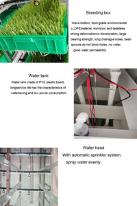 Usine fournissant des machines automatiques de germination de graines, systèmes de culture hydroponique de fourrage, armoires de culture d'herbe - Product Image 4