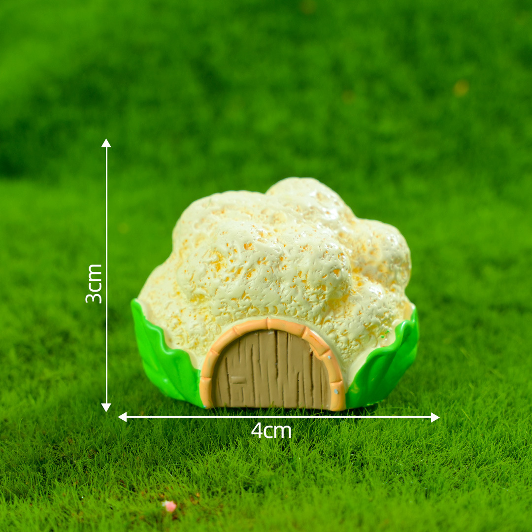 N &deg; 6 Casa de la coliflor