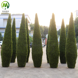 定制人造修剪形状框架户外塑料仿真柏树人造树植物柱花园景观装饰树 - Product Image 6