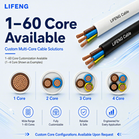 Cable Eléctrico Flexible de PVC RVV con Estándares CE, Cable Multifilar de Cobre Libre de Oxígeno, IP65, para Control Industrial y Construcción