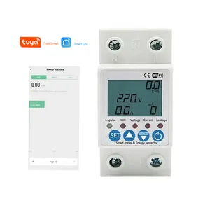 Factory Price Wifi Smart Power Meter Voltage protector Overload Protection Tuya APP Watt Meters with Alexa Google Home