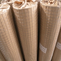 Rouleau de treillis métallique en acier galvanisé, treillis en acier revêtu de zinc à vendre, vente en gros d'usine