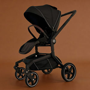 Poussette bébé pliable portable 3-en-1, chariot de luxe avec cadre en alliage d'aluminium, roues universelles à 360°, capacité de charge de 20 kg, pour enfants jusqu'à 3 ans - Product Image 1