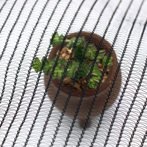 Filet anti-grêle noir 85 g/m² en HDPE vierge à 100 % avec 5 % d'additif UV, garantie 6 ans, pour vergers et arbres fruitiers aux États-Unis - Product Image 5