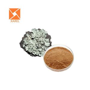 ハラール地衣類エキスXanthoparmeliaScabrosaエキスパウダー - Product Image 2