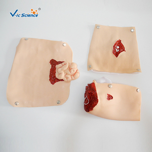 <span class=keywords><strong>Kit</strong></span> de simulation de plaies traumatiques portable 16 pièces pour amputation ou fracture ouverte, pour laboratoire de compétences infirmières CE ISO ROHS CNAS - Product Image 5