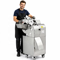 FONHON 750W Snijmachine voor diverse wortel- en stengelgroenten of fruit, eenvoudig te bedienen, verbruikt minder energie