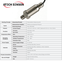 Transmetteur de pression en acier inoxydable 316L IP65 avec technologie piézorésistive pour applications industrielles exigeantes