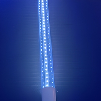 Lampe anti-moustiques LED T8 BL, lampe piège à moustiques