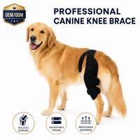 PETSGUARD Attelle Professionnelle pour Genou de Chien, Système de Sangle Dorsale pour L'AVC et L'ACL des Pattes Arrière, en Polyester Respirant Perforé Anti-Rayures