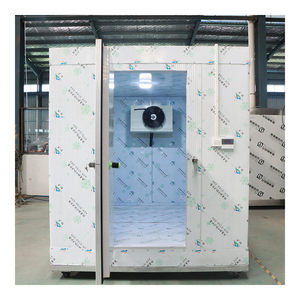 Chambre froide mini sur mesure avec conception personnalisée, conteneur <span class=keywords><strong>de</strong></span> congélation <span class=keywords><strong>de</strong></span> 40 pieds pour le stockage <span class=keywords><strong>de</strong></span> poissons et fruits <span class=keywords><strong>de</strong></span> mer - Product Image 5
