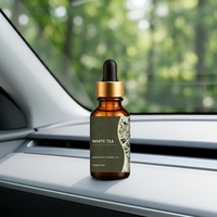 Diffuseur d'arômes pour voiture en bouteille de verre, huile de recharge, parfum longue durée, évaporation naturelle pour éliminer les odeurs de voiture