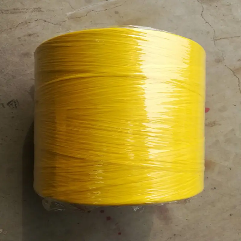 Filtre de raphia de fil de monofilament de polypropylène pour le fil pp de ligne de pêche de ficelle
