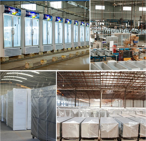 Rinascita <span class=keywords><strong>congelatore</strong></span> <span class=keywords><strong>congelatore</strong></span> ghiaccio commerciale <span class=keywords><strong>orizzontale</strong></span> frigorifero con grande capacità - Product Image 6