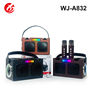 Altoparlante Karaoke Portatile Mini per Bambini con Luce RGB, Due Microfoni Wireless, Audio BT 16W, Batteria per Home Theatre e Canto all'Aperto - Product Image 6