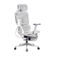 Chaise de bureau ergonomique pivotante réglable avec appui-tête 4D, soutien lombaire profilé, dossier en maille, cadre en alliage d'aluminium, silencieuse pour le bureau à domicile