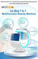 Machine faciale Aqua Peel H2O2 2026 dernière génération pour lifting du visage, raffermissement de la peau, blanchiment et rajeunissement cutané à usage commercial