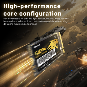 قرص صلب داخلي عالي الأداء من بيستوس <span class=keywords><strong>M</strong></span>.<span class=keywords><strong>2</strong></span> NVMe 2242 PCIe Gen4.0 SSD بسعة 1 تيرابايت/<span class=keywords><strong>2</strong></span> تيرابايت للكمبيوتر المكتبي - Product Image 3