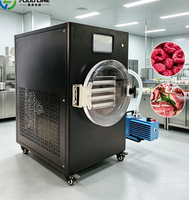 Hoge Efficiëntie Huishoudelijke Kleine Vriesdroogmachine voor Groente- en Fruitlyofilisatie Kleine Vriesdroogmachine