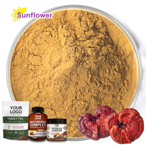 Заводской производитель, экстракт Рейши, порошок, Ganoderma Lucidum, популярная лекарственная добавка грибов для здорового питания - Product Image 1