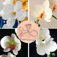 Kit de découpe de fondant en acier inoxydable pour orchidées, 3 pièces, moule de décoration de biscuits, pâte à sucre, accessoires de pâtisserie