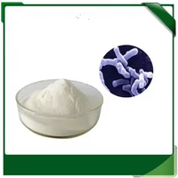 Mélange de Probiotiques Multi-Souches en Poudre, Comprimés et Capsules