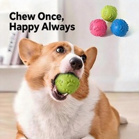 Duurzaam, milieuvriendelijk, schattig, modieus, zacht TPR piepende pootbal, klein cartoonpatroon, dagelijks kauwspeeltje voor honden, voor binnen en buiten gebruik.