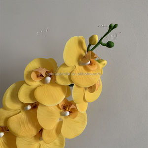 <span class=keywords><strong>Orchidée</strong></span> <span class=keywords><strong>Phalaenopsis</strong></span> <span class=keywords><strong>jaune</strong></span> haut de gamme en latex B-802, fleurs au toucher réel, <span class=keywords><strong>tige</strong></span> unique, 9 têtes, grande branche d'<span class=keywords><strong>orchidée</strong></span> <span class=keywords><strong>Phalaenopsis</strong></span> - Product Image 6