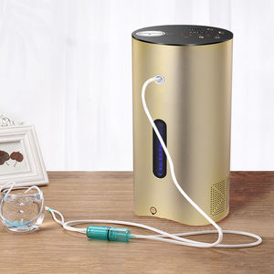 Generador de Agua Hidrogenada Molecular HO-2 de Japón, Equipo de Producción de Hidrógeno PEM - Product Image 5