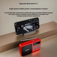 Radio FM portable SANSUI F65, lecteur MP3 Walkman, haut-parleur sans fil TF/USB, mini lecteur de musique numérique pour les sports de plein air