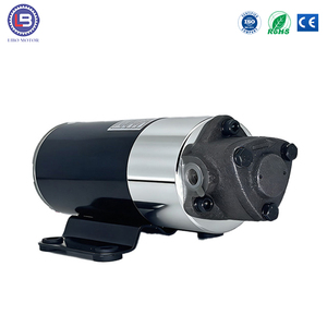 Motore DC in Metallo Personalizzato 12V 24V ad Alta Potenza e Qualità - Pompa Elettrica Premium <span class=keywords><strong>per</strong></span> Trasferimento Olio <span class=keywords><strong>per</strong></span> <span class=keywords><strong>Automobili</strong></span> - Product Image 1