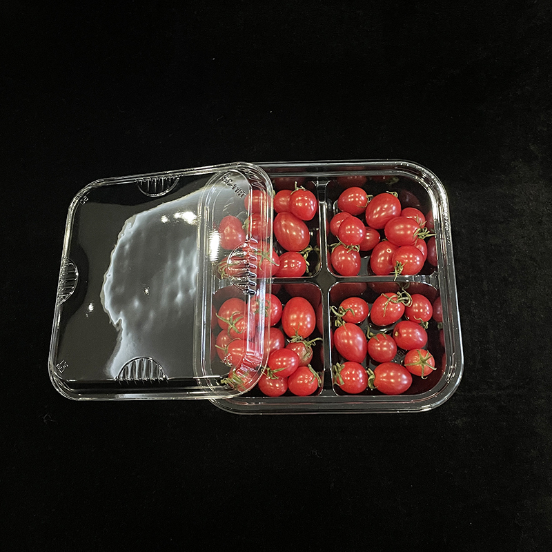 Disposable Food Containers PET Plastic Box