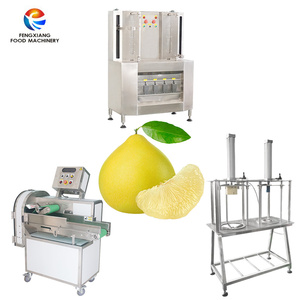 Máquina peladora de sandía y piña de calabaza Industrial, peladora automática de Jaca de piña, máquina peladora de Corina - Product Image 5
