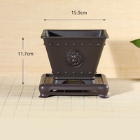 Pots de bonsaï en plastique carrés traditionnels au design unique de 15.9cm pour cactus et arbre succulents avec motif de lion sur la surface