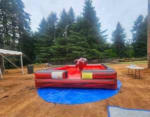 팽창식 기계 황소 로데오 놀이기구 성인용 파티 게임 대여 기계 황소 컨트롤러 판매 - Product Image 2