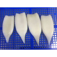 Calamars entiers surgelés U5 U7 U10 IQF sans peau, glacés, 80-100%, approvisionnement en vrac, fruits de mer de qualité supérieure