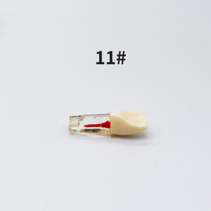 Modèles de dents en résine pour la pratique des examens dentaires, dents simulées avec canal radiculaire extrait, chambre pulpaire, équipements de nettoyage et de remplissage des dents - Product Image 1