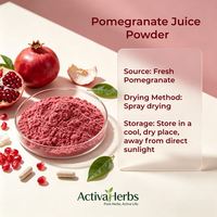 Natuurlijk granaatappelsap poeder, rode granaatappel fruitpoeder, sproeidrogen granaatappel extract voor dranken, bulk levering