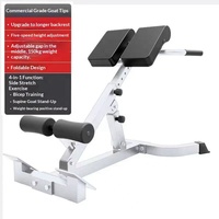 Chaise romaine pliable et réglable multifonctionnelle en métal pour haltères, banc de musculation pour les jambes et le dos, équipement de fitness