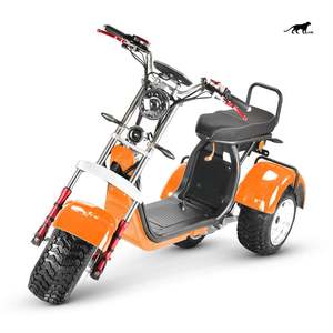 Motocicleta doble de 2000W, triciclo para adultos, patinete eléctrico de 3 ruedas, pantalla LCD personalizada, 60V, 10 pulgadas, Sidecars, triciclo, 2 manos abiertas, 225 - Product Image 5