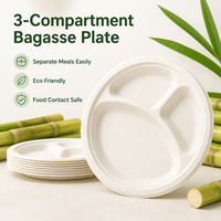 Assiette Compostable Populaire à 3 Compartiments en Bagasse de Canne à Sucre pour Repas Scolaires et Restauration Rapide