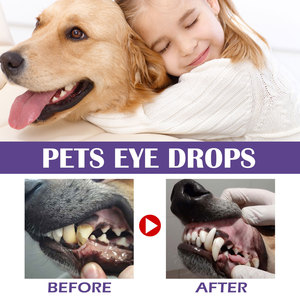 Lingettes pour animaux de compagnie en gros, lingettes humides pour le nettoyage des dents des chiens et des chats, lingettes à l'eau pure pour chiens - Product Image 3