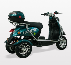 Triciclo de Fábrica EEC en Venta, 60V 72V 20Ah, Vehículo Motorizado de Tres Ruedas Abierto para Pasajeros, Alta Calidad de Fabricación - Product Image 1