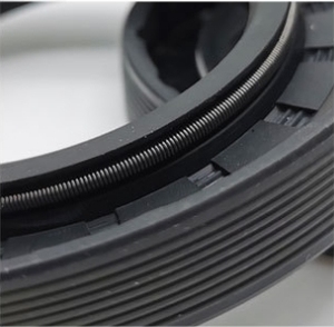 Tất cả các loại kích cỡ dầu chịu mài mòn NBR Nitrile FB/TC/tg4 con dấu dầu xương - Product Image 3